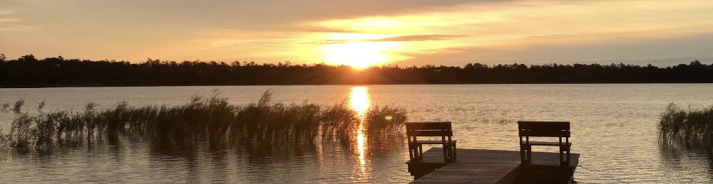 Lakeside Reflections